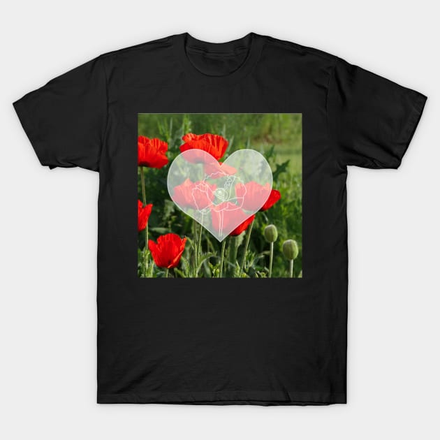 Popies at Flanders field T-Shirt by Aurealis